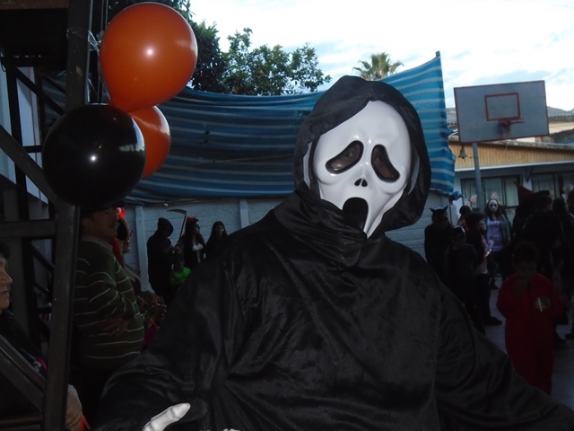Halloween Halloween