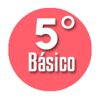 5to basico