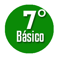 7mo basico
