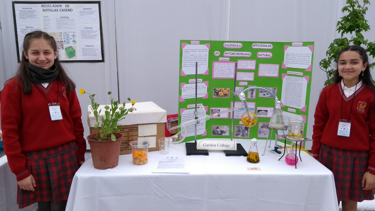 VI_Feria_Científica VI_Feria_Científica