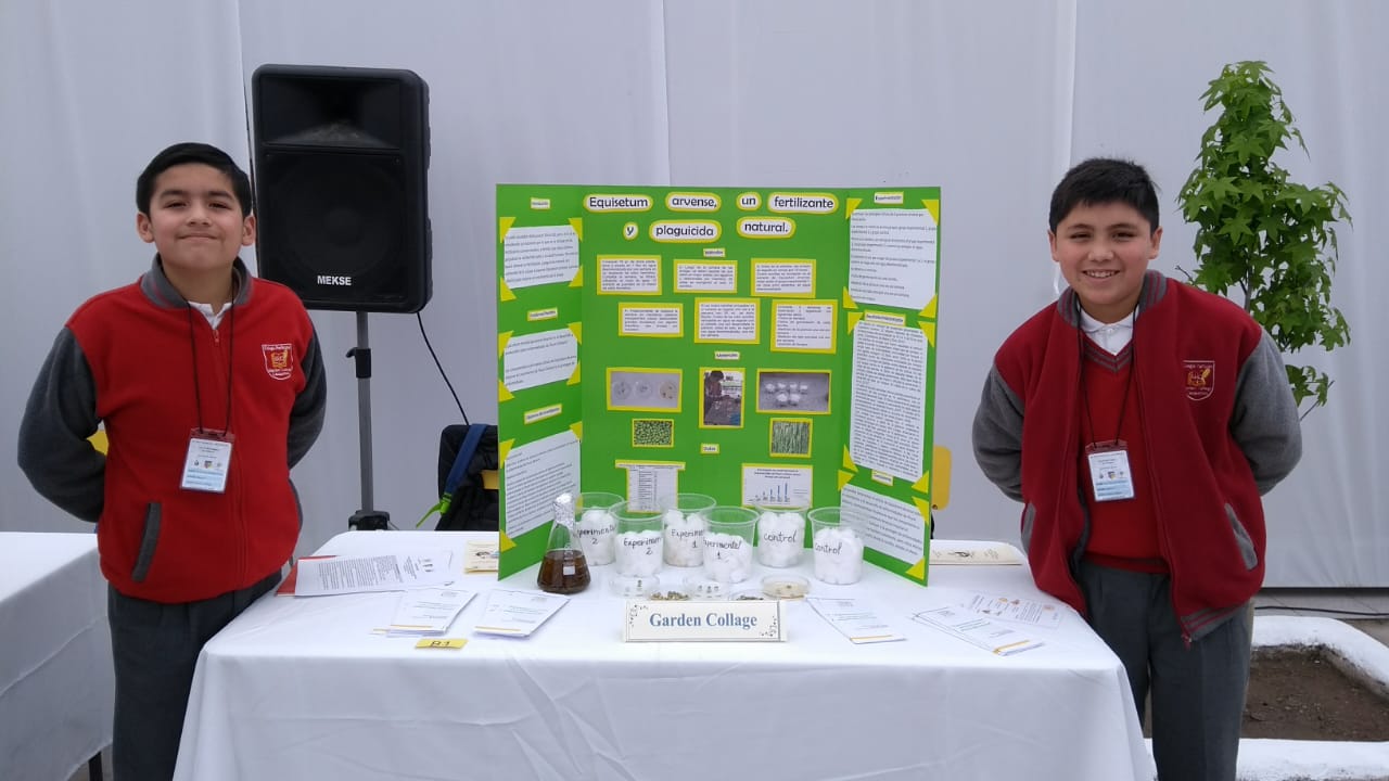 VI_Feria_Científica VI_Feria_Científica